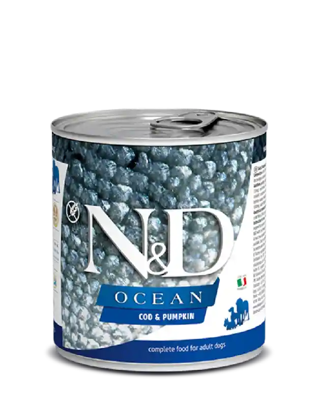 Farmina N & D Ocean Can Dog Food, COD PUMPKIN 10 OZ