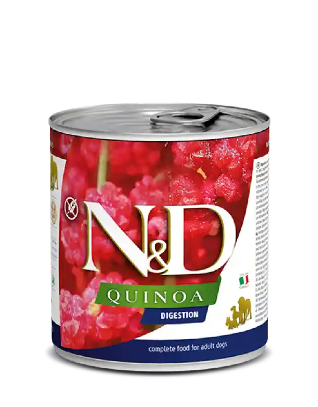 Farmina N&D Canned Dog Food | Quinoa Digestion Lamb 10.05 oz