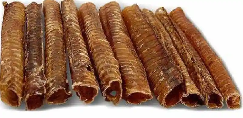 12 inch Trachea (Each)