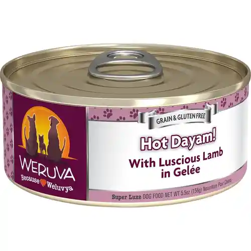 Hot Dayam Luscious Lamb Canned Dog Food 5.5-oz